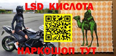 a pvp Вязьма