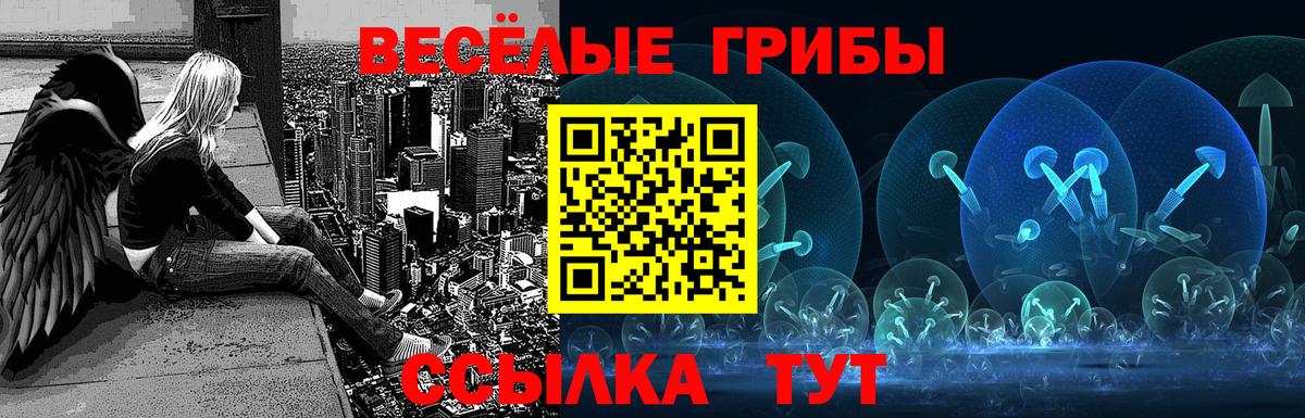 Асбест  Галлюциногенные грибы Psilocybine cubensis  Вход с VPN 